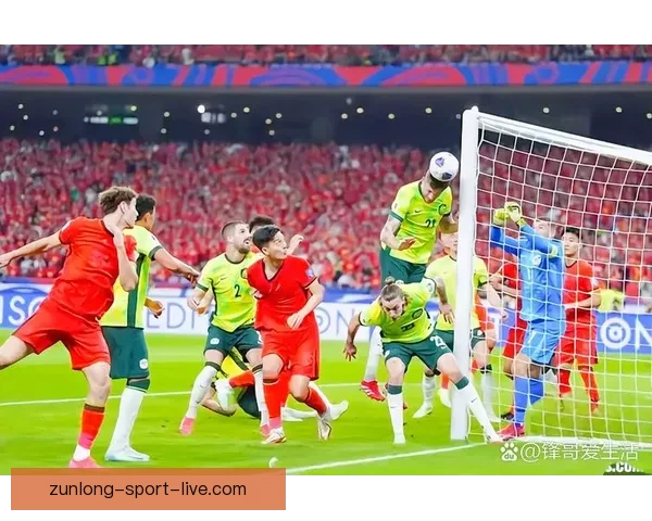 2026世界杯举办国家揭秘赛事看点与球迷期待全解析